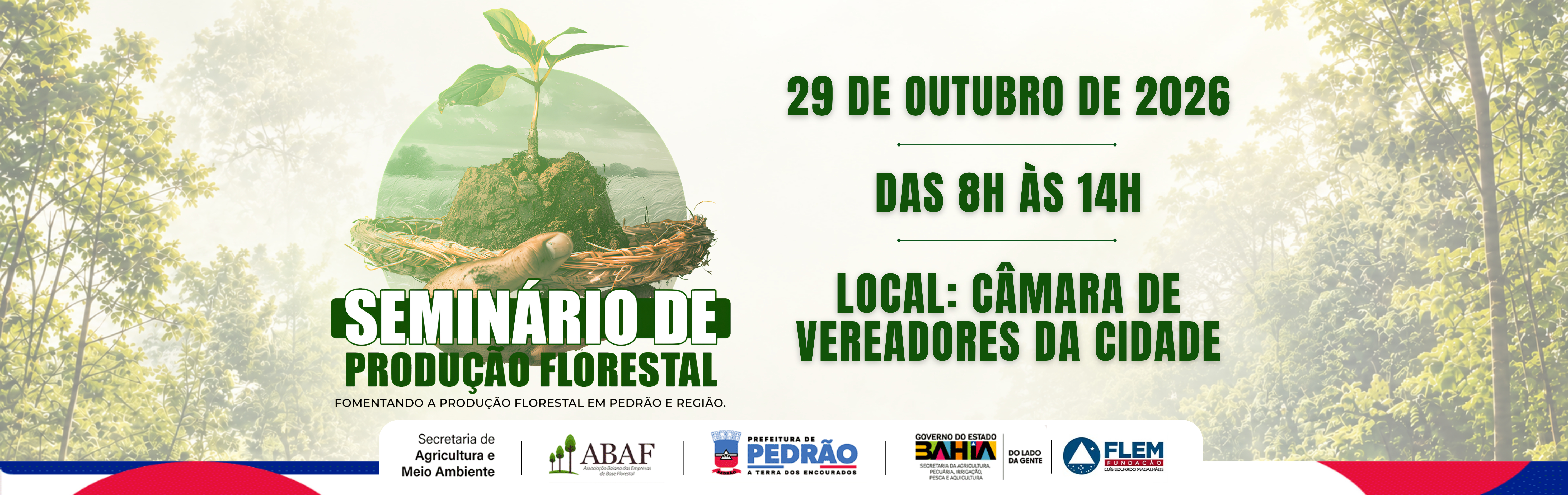 Banner_Seminario de Pedrao