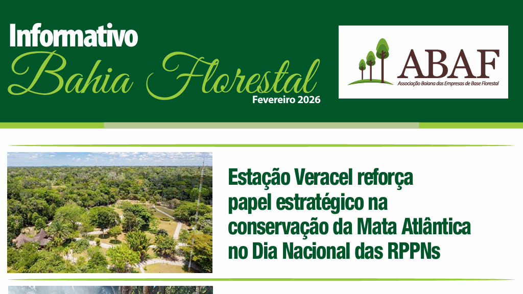 Captura de tela 2026-03-03 095036