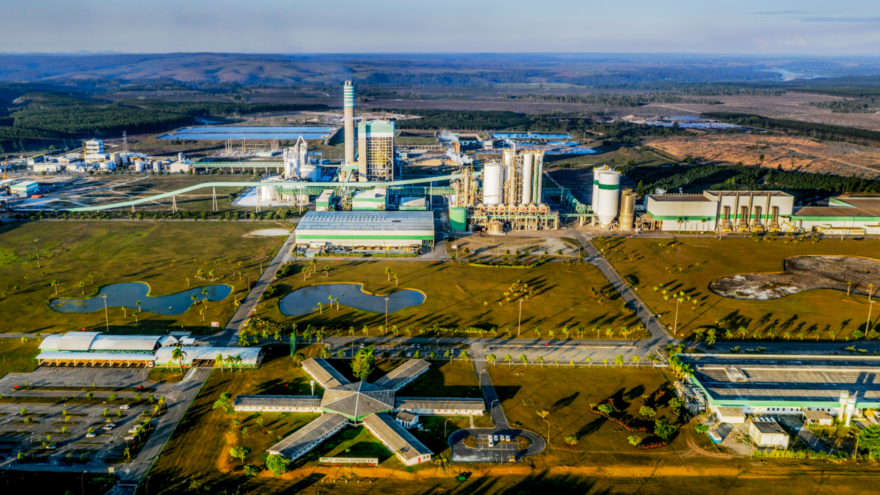 Veracell empresa