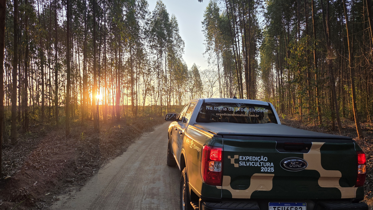 Expedição Silvicultura
