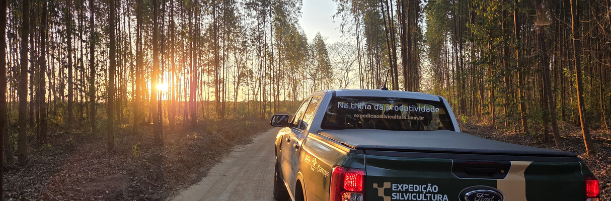 Expedição Silvicultura