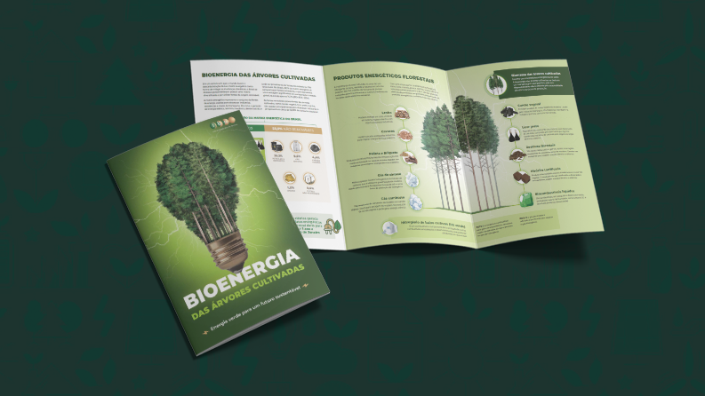 IBÁ_Bioenergia das árvores cultivadas