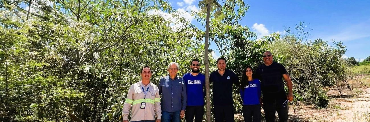 Parceria entre Bracell e SOS Mata Atlântica resulta no plantio de 61 mil árvores em São Paulo