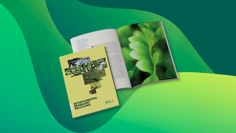 Ibá lança documento que evidencia contribuições de setor baseado na natureza para a mitigação das mudanças climáticas