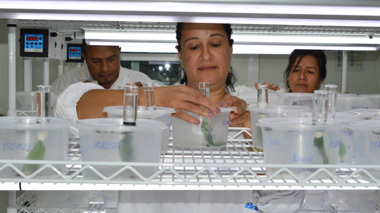 Laboratório da Bracell em Alagoinhas-BA (2)