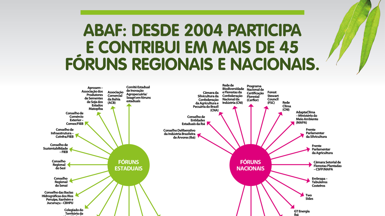 REPRESENTATIVIDADE_V