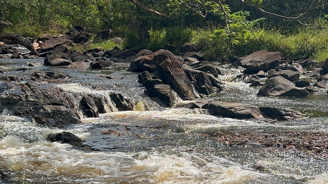 Rio Sauípe - Foto - Gleison Rezende - Acervo Bracell