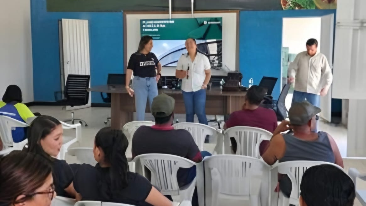 Veracel e Timenow Melhor Qualidade