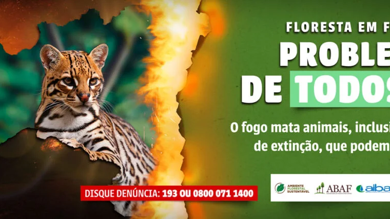 campanha-incendio-1280x427