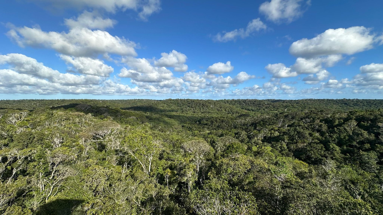 Reserva está localizada os municípios de Entre Rios e Itanagra/ Foto: Acervo Bracell