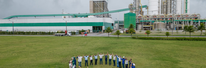 Veracel divulga relatório de sustentabilidade de 2024