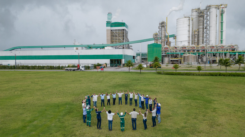 Veracel divulga relatório de sustentabilidade de 2024